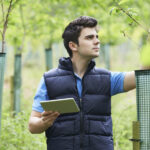 arborist consultant With Digital Tablet Checking Young Trees