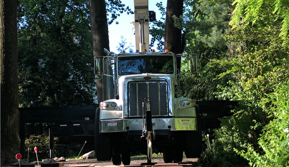 Crane truck used for tree removal emergency services