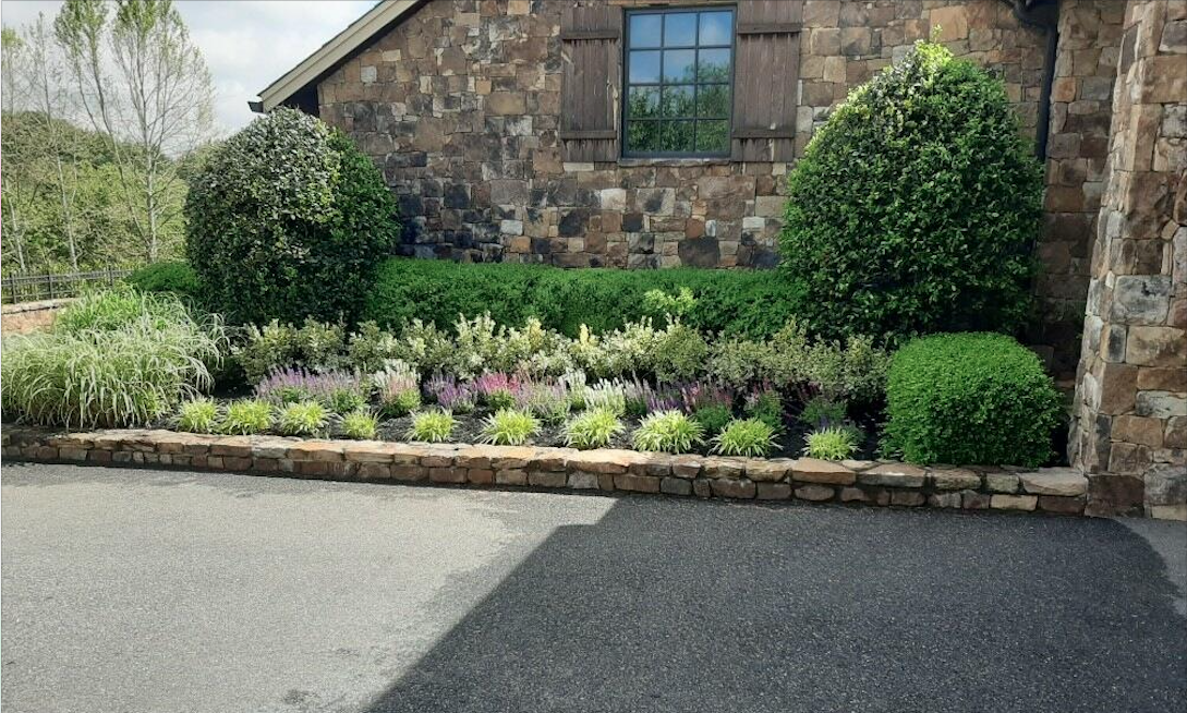 beautiful garden tree arrangement